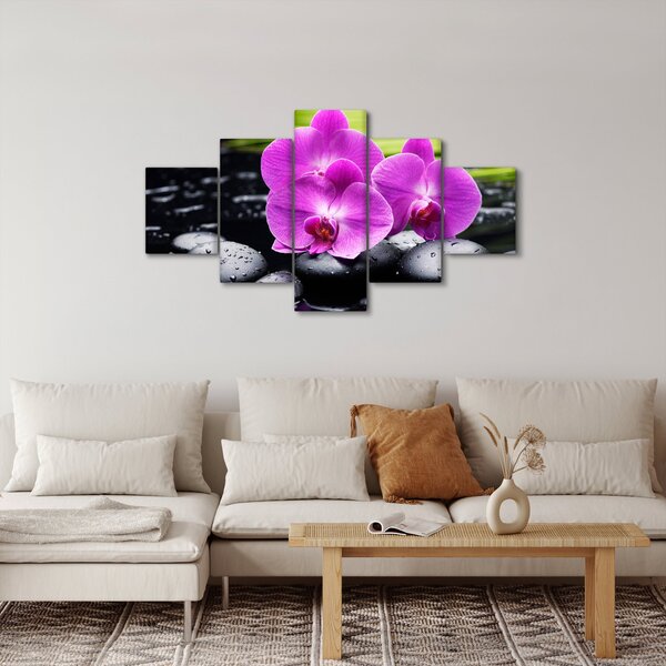 Obraz - Orchideje (125x70 cm)