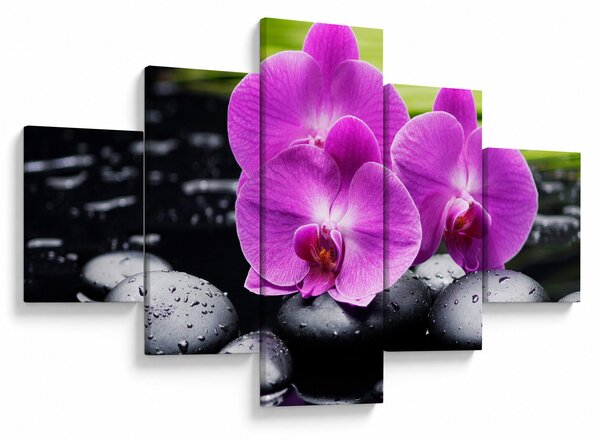 Obraz - Orchideje (125x70 cm)