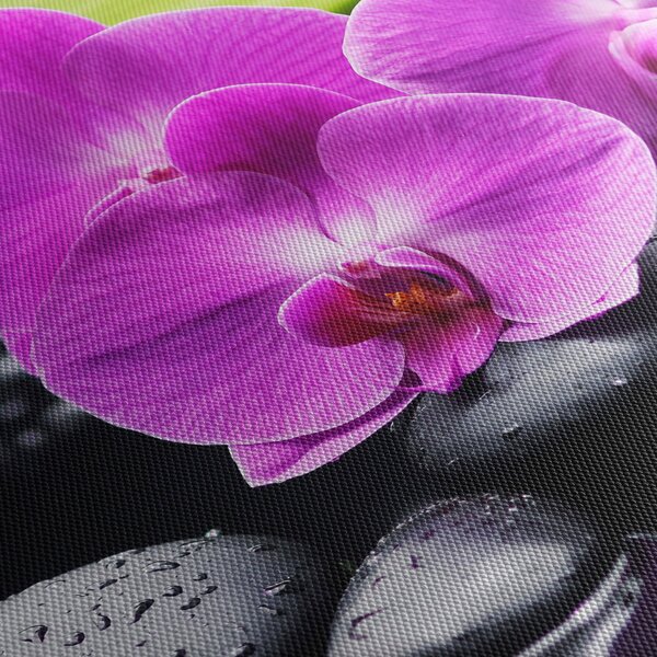 Obraz - Orchideje (30x30 cm)