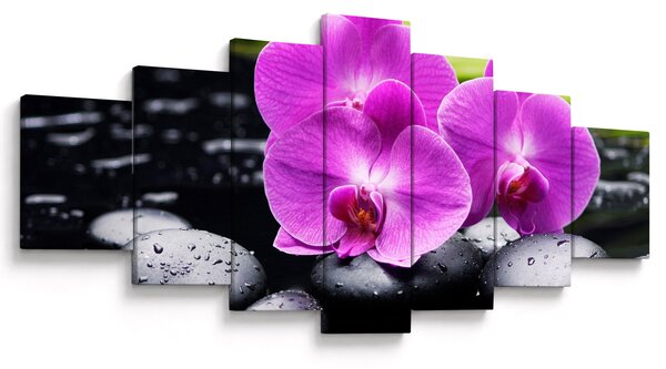 Obraz - Orchideje (210x100 cm)