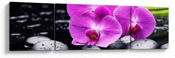 Obraz - Orchideje (170x50 cm)
