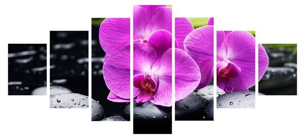 Obraz - Orchideje (210x100 cm)
