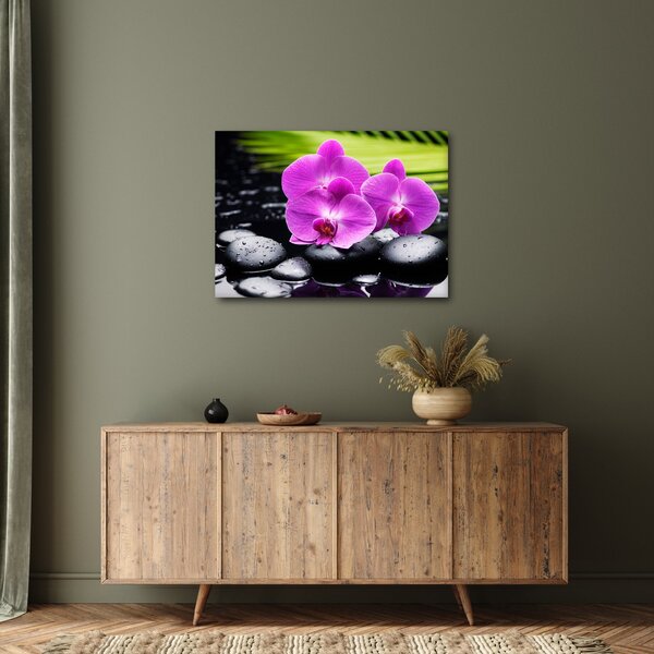Obraz - Orchideje (70x50 cm)