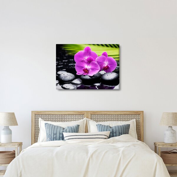 Obraz - Orchideje (70x50 cm)