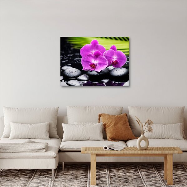 Obraz - Orchideje (70x50 cm)