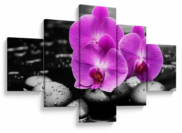 Obraz - Fialové orchideje (125x70 cm)