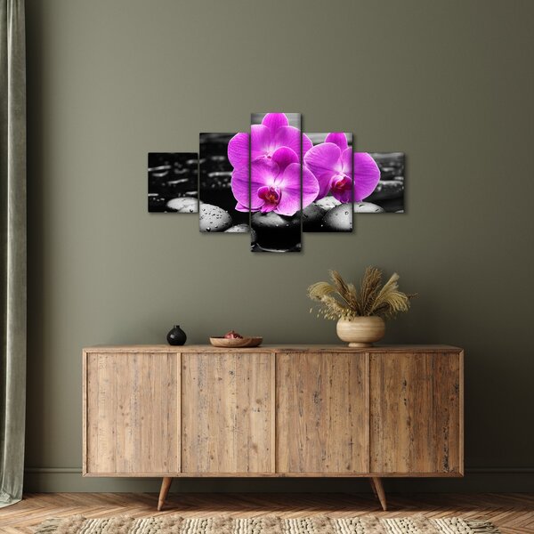 Obraz - Fialové orchideje (125x70 cm)