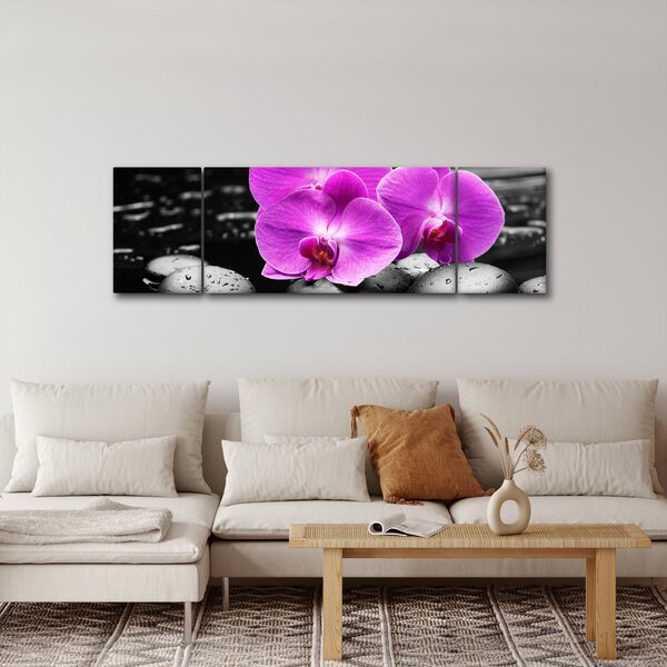 Obraz - Fialové orchideje (170x50 cm)