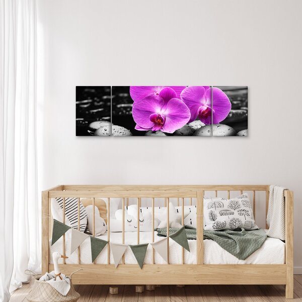 Obraz - Fialové orchideje (170x50 cm)