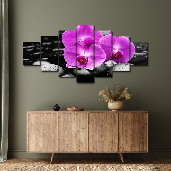 Obraz - Fialové orchideje (210x100 cm)
