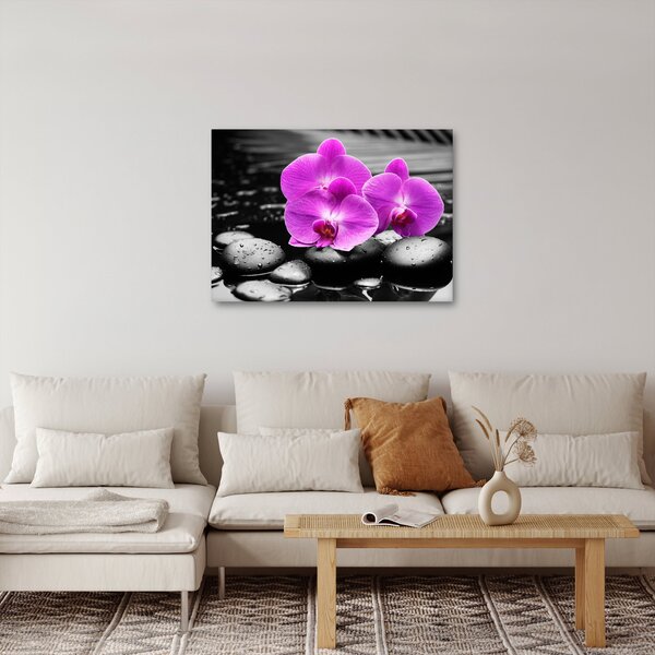 Obraz - Fialové orchideje (70x50 cm)
