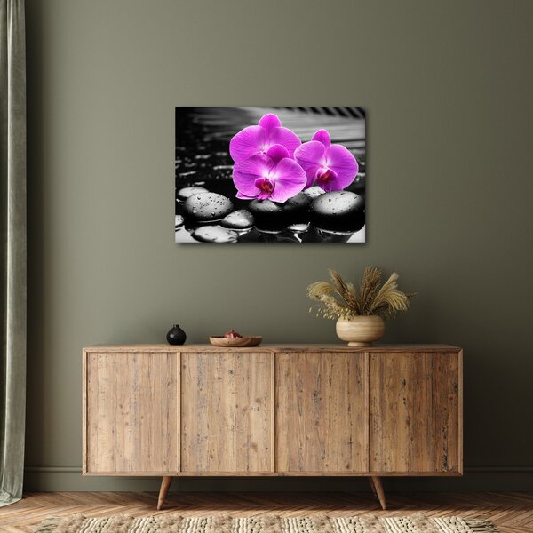 Obraz - Fialové orchideje (70x50 cm)