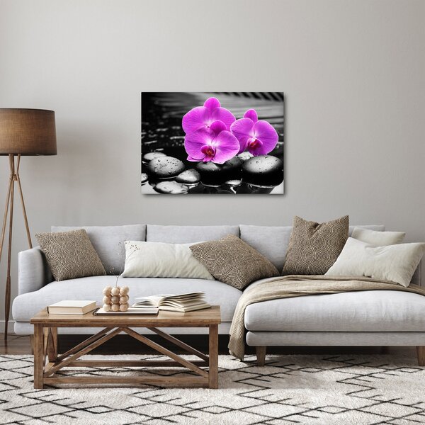 Obraz - Fialové orchideje (70x50 cm)
