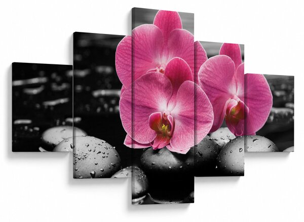 Obraz - Růžové orchideje (125x70 cm)
