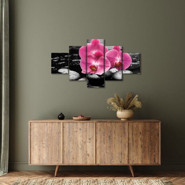 Obraz - Růžové orchideje (125x70 cm)