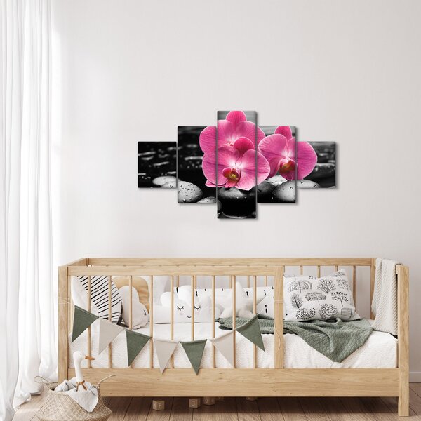 Obraz - Růžové orchideje (125x70 cm)
