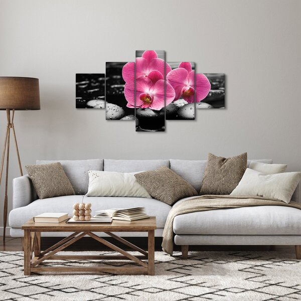 Obraz - Růžové orchideje (125x70 cm)