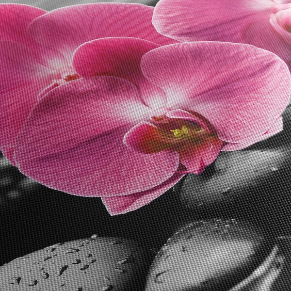 Obraz - Růžové orchideje (210x100 cm)