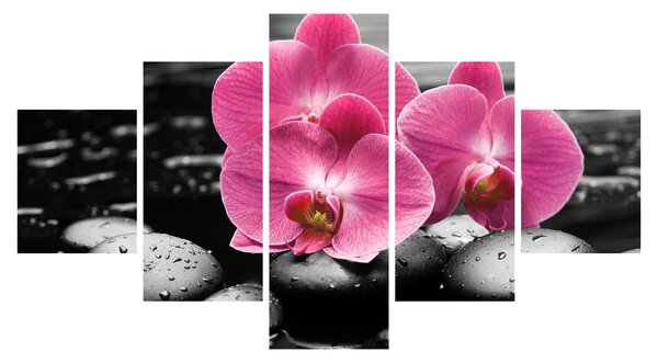 Obraz - Růžové orchideje (125x70 cm)