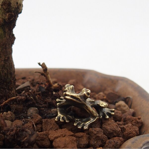 E-bonsai Kovová figurka - žabka