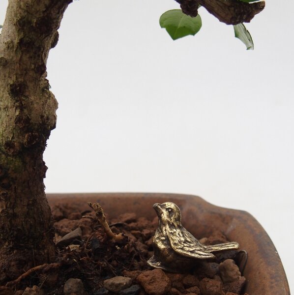 E-bonsai Kovová figurka - ptáček