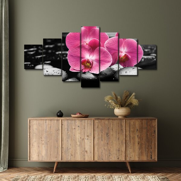 Obraz - Růžové orchideje (210x100 cm)