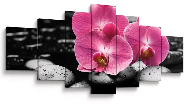Obraz - Růžové orchideje (210x100 cm)