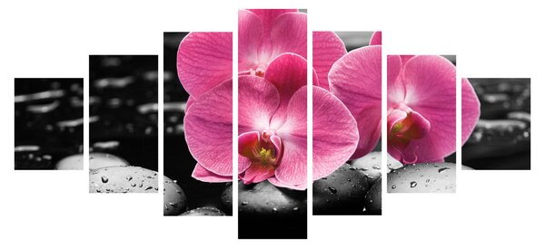 Obraz - Růžové orchideje (210x100 cm)