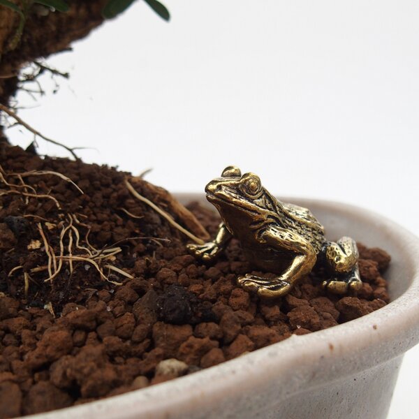 E-bonsai Kovová figurka - žába
