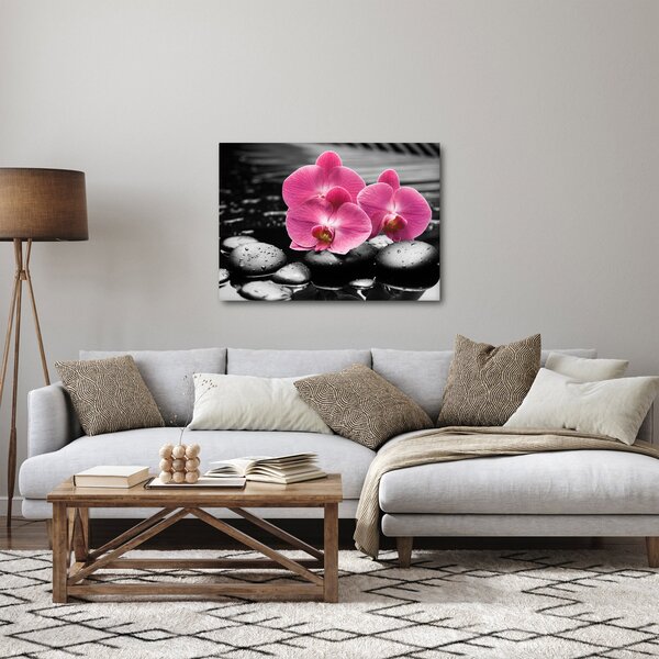 Obraz - Růžové orchideje (70x50 cm)