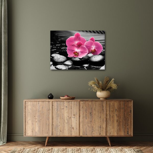 Obraz - Růžové orchideje (70x50 cm)