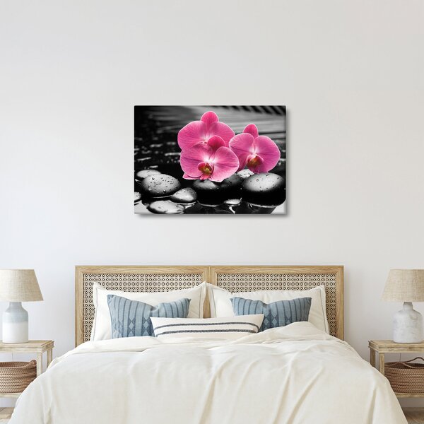 Obraz - Růžové orchideje (70x50 cm)