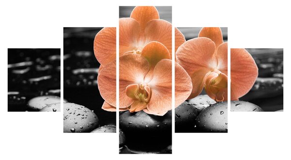 Obraz - Oranžové orchideje (125x70 cm)