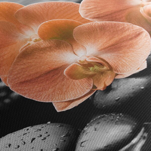 Obraz - Oranžové orchideje (30x30 cm)