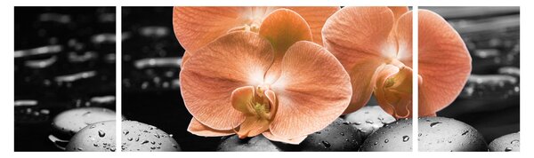 Obraz - Oranžové orchideje (170x50 cm)