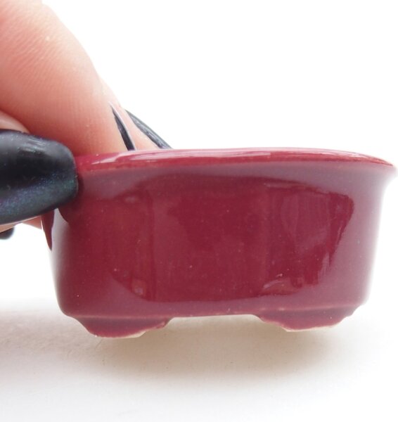 E-bonsai Mini bonsai miska 4,5 x 4 x 2 cm vínová