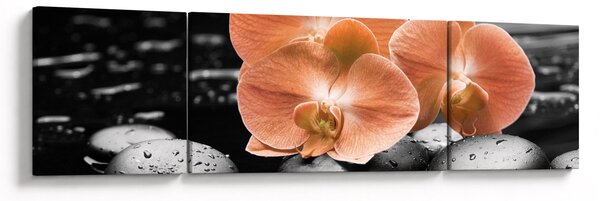 Obraz - Oranžové orchideje (170x50 cm)