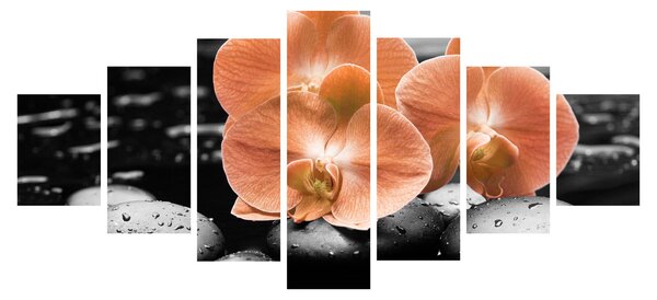 Obraz - Oranžové orchideje (210x100 cm)