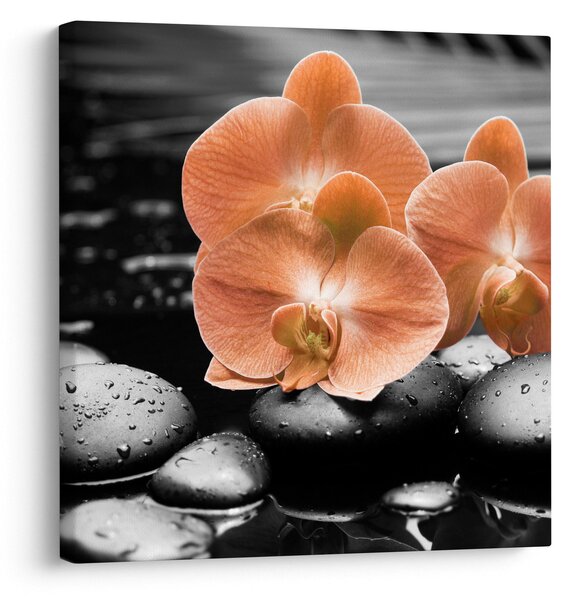 Obraz - Oranžové orchideje (30x30 cm)