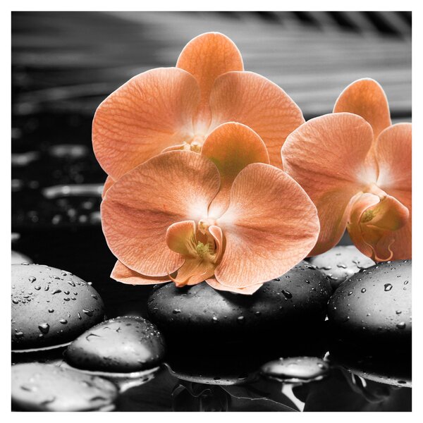 Obraz - Oranžové orchideje (30x30 cm)