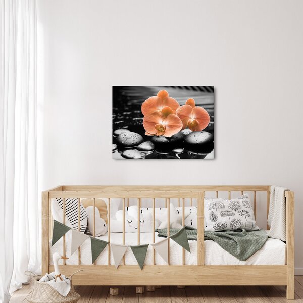 Obraz - Oranžové orchideje (70x50 cm)