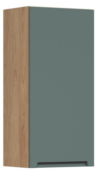 BRW Kuchyně Family Line Iris G-45/95-L, boho green matt