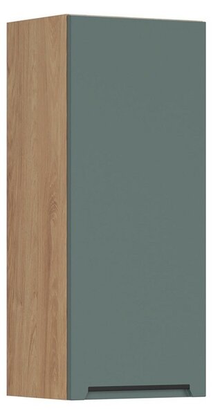 BRW Kuchyně Family Line Iris G-40/95-L, boho green matt