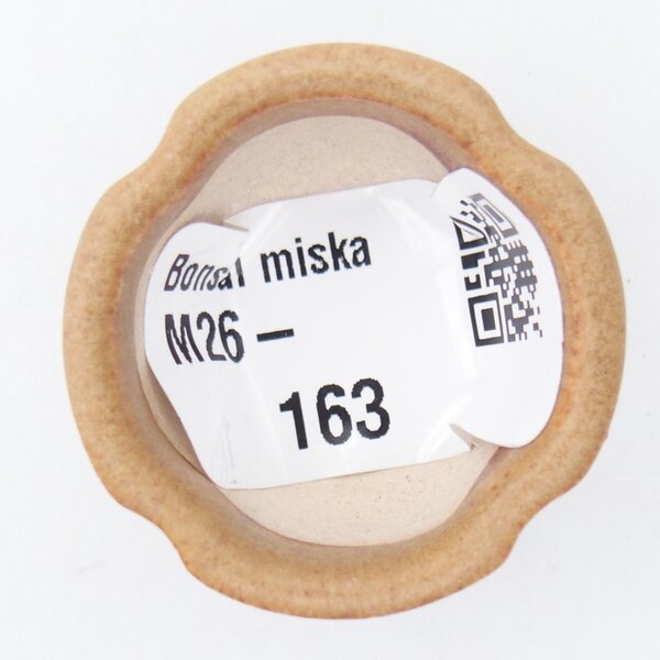 E-bonsai Mini bonsai miska 3,5 x 3,5 x 2,5 cm hnědá