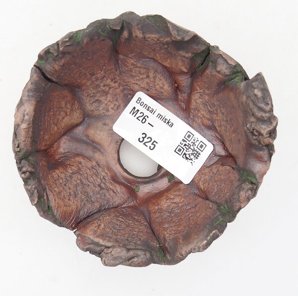 E-bonsai Keramická Skořápka 8,5 x 6 x 6,5 cm zelená