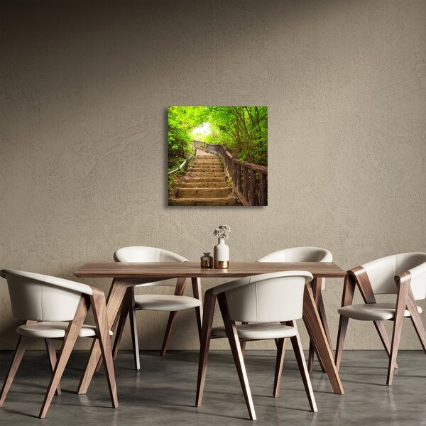 Obraz - Schody v přírodě (30x30 cm)