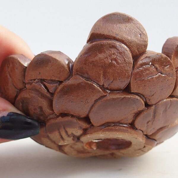E-bonsai Keramická Skořápka 8,5 x 8,5 x 4 cm hnědá