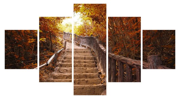 Obraz - Schody v přírodě na podzim (125x70 cm)