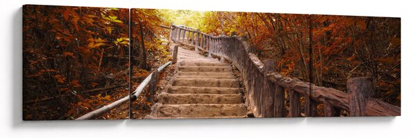 Obraz - Schody v přírodě na podzim (170x50 cm)