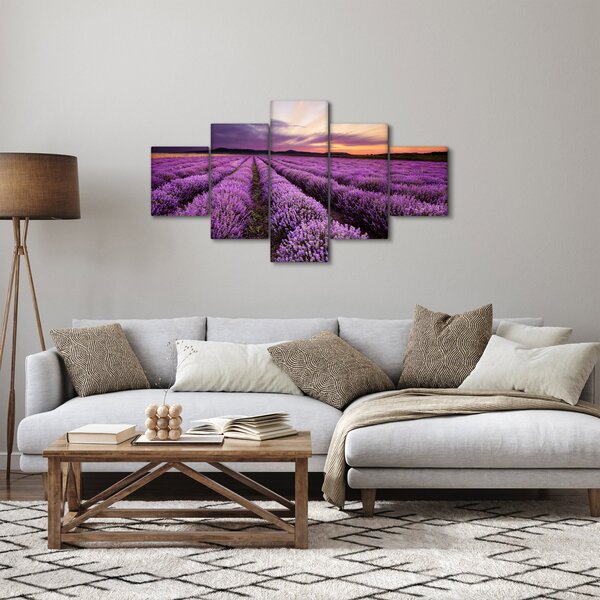Obraz - Levandulové pole při západu slunce (125x70 cm)